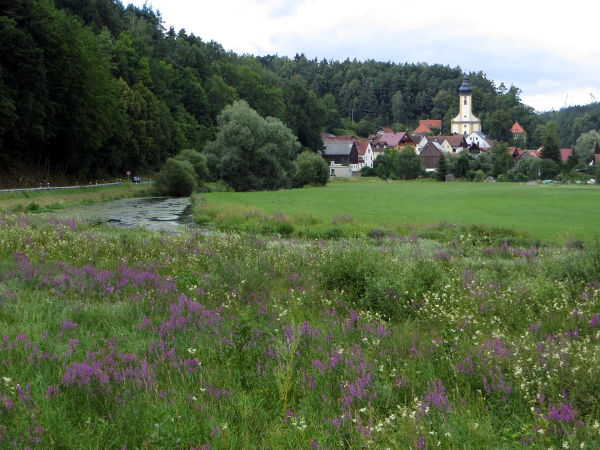 Blick auf Nankendorf mit Wiesent - © RoRadln - Kurt Schmidt