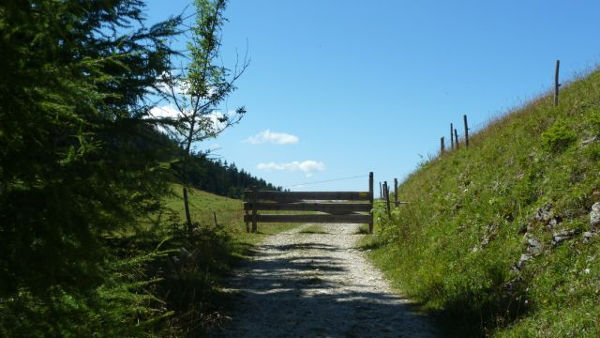 Weg zur Steingrabner Alm - © RoRadln - Ludwig Daschner