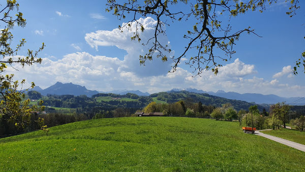 Bergblick bei Oberacherting - © RoRadln - Kurt Schmidt