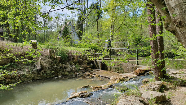 An der Sims in den Lauterbacher Filzen - © RoRadln - Kurt Schmidt