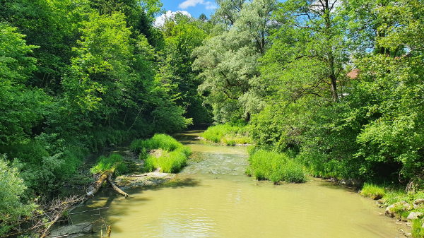 Inn-Runde an der Murn bei Unterm&uuml;hle - © RoRadln - Kurt Schmidt