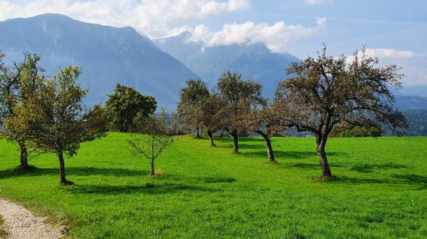 Bergblick oberhalb von Pogerschitzen - © RoRadln - Kurt Schmidt