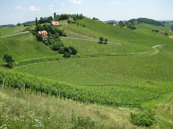 Südsteirische Weinstraße - Grenze zwischen Österreich und Slowenien - © RoRadln - Kurt Schmidt