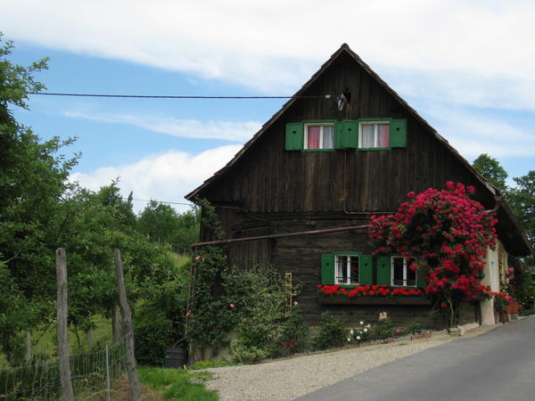 S&uuml;dsteirisches Weinland - Bilder einer Landschaft - © RoRadln - Kurt Schmidt