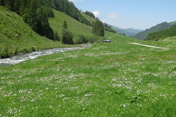 Kelchsau - Kurzer Grund - © RoRadln - Kurt Schmidt