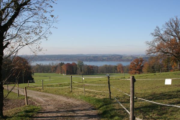 Simsseeblick bei Pietzenkirchen - © RoRadln - Kurt Schmidt