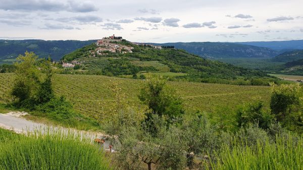 Motovun - © RoRadln - Kurt Schmidt