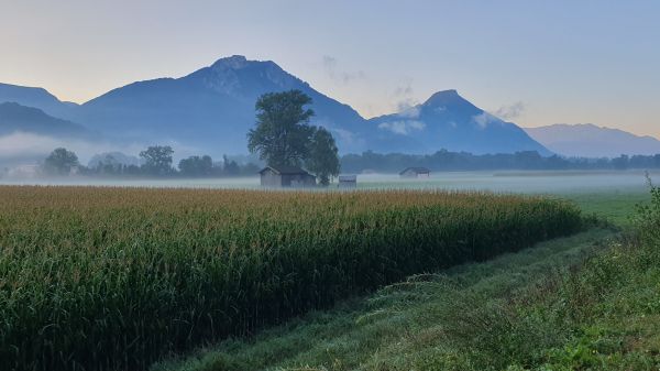 Nebel im Inntal - © RoRadln - Kurt Schmidt