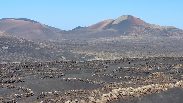 Weinbaugebiet La Geria und Montañas del Fuego - © RoRadln - Kurt Schmidt