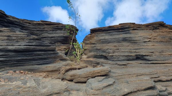 Las Grietas - Verwitterte Lavagesteine - © RoRadln - Kurt Schmidt