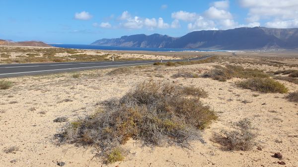 Blick auf La Famara - © RoRadln - Kurt Schmidt