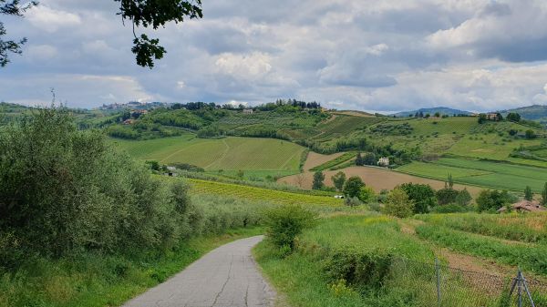 Abfahrt von Longiano ins Tal des Flusses Scolo Rigossa - © RoRadln - Kurt Schmidt