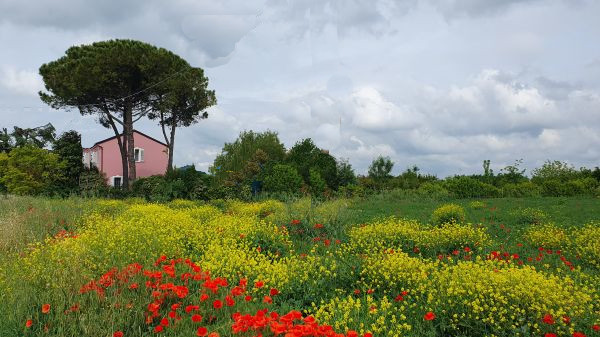 In der Römischen Centuriazione Cesena - © RoRadln - Kurt Schmidt