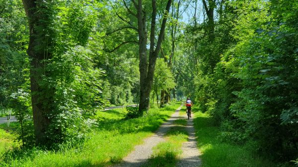 Zengermoos - Schöne Wege - © RoRadln - Kurt Schmidt