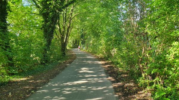 Schattige Allee - © RoRadln - Kurt Schmidt