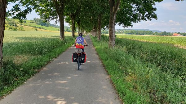 Sch&ouml;ne Allee bei Warburg - © RoRadln - Kurt Schmidt
