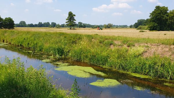 An der Ems nahe Rietberg - © RoRadln - Kurt Schmidt