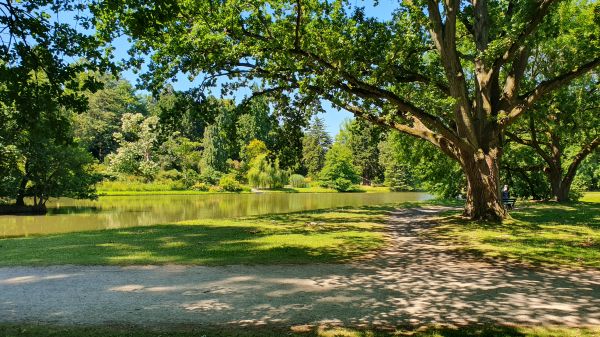 Aue Park in Kassel - © RoRadln - Kurt Schmidt