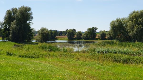 Berger Lacke Steinh&ouml;ring - © RoRadln - Kurt Schmidt