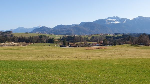 Niesberg - Blick zur Kampenwand - © RoRadln - Kurt Schmidt