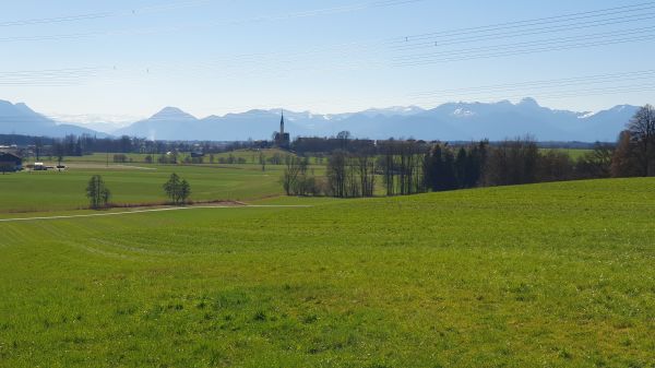 Alpenblick bei Schechen - © RoRadln - Kurt Schmidt