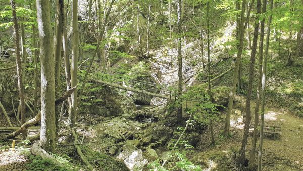 Wolfsschlucht - © RoRadln - Kurt Schmidt