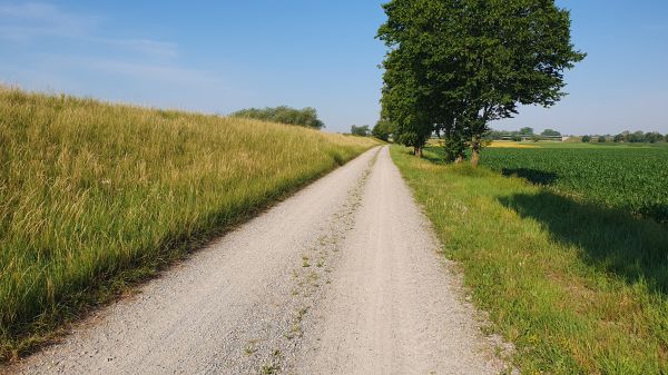 Donauradweg bei St&ouml;cklw&ouml;rth - © RoRadln - Kurt Schmidt