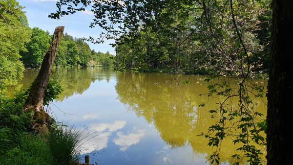Ebersberger Weiherkette - Langweiher - © RoRadln - Kurt Schmidt