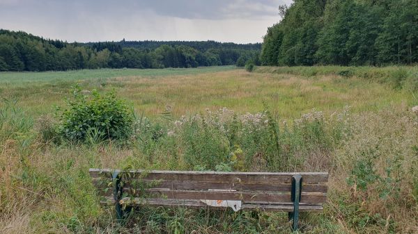 Tannetweiher ohne Wasser nahe Bobingen - © RoRadln - Kurt Schmidt