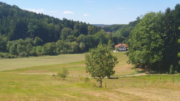 Tal der Moosach bei Langkofen - © RoRadln - Kurt Schmidt