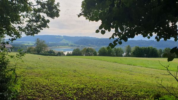 Simsseeblick bei Untershofen - © RoRadln - Kurt Schmidt