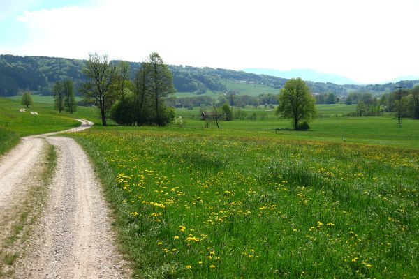 Fühlingswiesen im Antworter Moos - © RoRadln - Kurt Schmidt