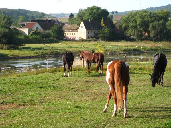 An der Weser - © RoRadln - Kurt Schmidt