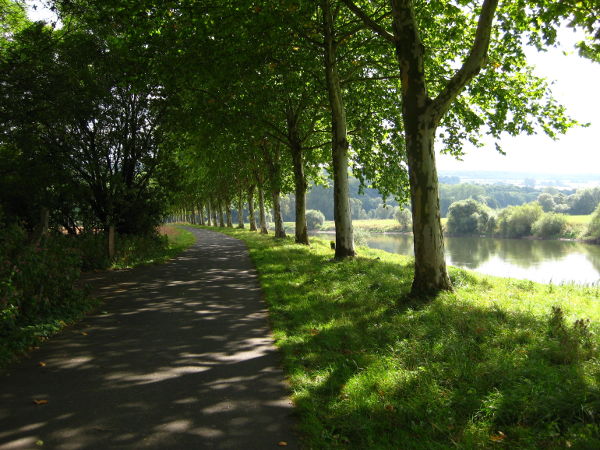 Allee bei Barockschloss Corvey - © RoRadln - Kurt Schmidt
