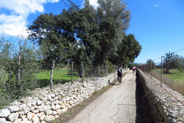 einsame Wegen zwischen Alcudia und Pollenca - © RoRadln - Kurt Schmidt