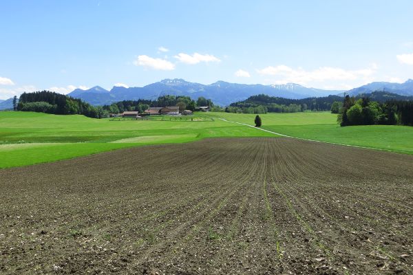 Bergblick bei Mupferting - © RoRadln - Kurt Schmidt