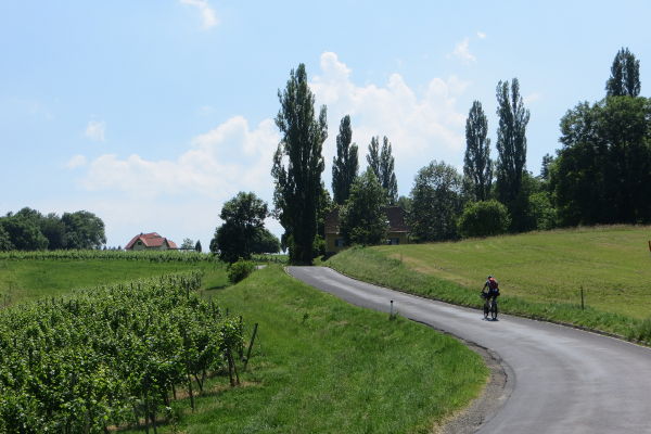 Grenzland-Weinstra&szlig;e - © RoRadln - Kurt Schmidt