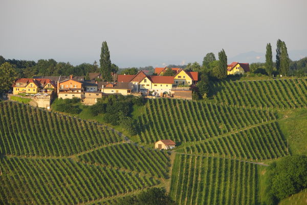 Blick vom Schererkogl - © RoRadln - Kurt Schmidt