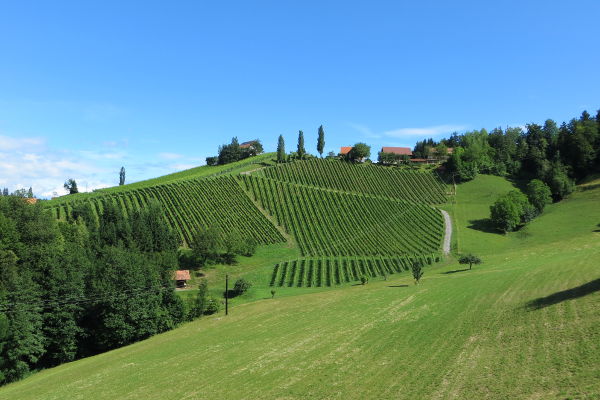 Steirische Toskana - © RoRadln - Kurt Schmidt