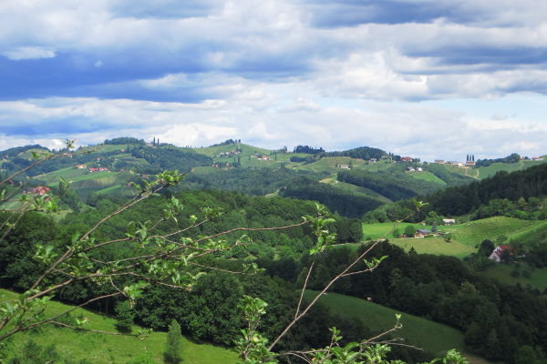 Blick von S&uuml;den auf das Steirische Weinland - © RoRadln - Kurt Schmidt