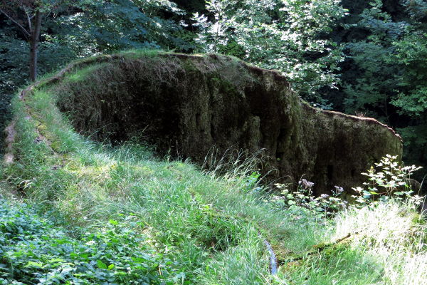 Wachsender Fels von Usterling - Geotope in Bayern - © RoRadln - Kurt Schmidt