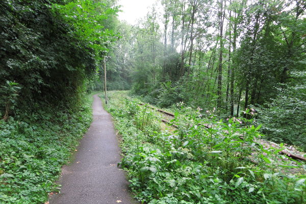 Radweg bei Altenmarkt - © RoRadln - Kurt Schmidt