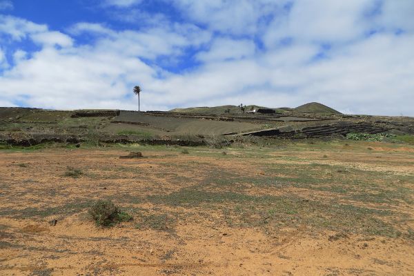 typische Landschaft auf Lanzarote - © RoRadln - Kurt Schmidt