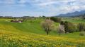 Laiming - Blick auf Frasdorf - © RoRadln - Kurt Schmidt