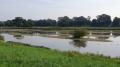 Naturschutzgebiet Steinhorster Becken