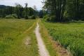Trail im Antworter Moos