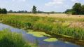 An der Ems nahe Rietberg