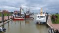 Ditzum - Hafen