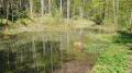 Kupferbachtal - Quelle eines Zuflusses vom Kupferbach - © RoRadln - Kurt Schmidt Kupferbachtal - Quelle eines Zuflusses vom Kupferbach - © RoRadln - Kurt Schmidt