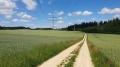 Weites Land bei Pfaffenhofen (Altomünster) - © RoRadln - Kurt Schmidt Weites Land bei Pfaffenhofen (Altomünster) - © RoRadln - Kurt Schmidt